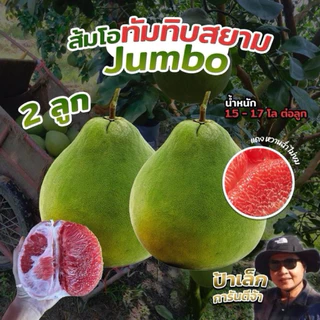 ส้มโอทับทิมสยามปากพนัง ไซส์ Jumbo  2ลูก  น้ำหนัก 1.5- 1.7 กก./ต่อลูก จากสวนป้าเล็กขี้ลืม photo