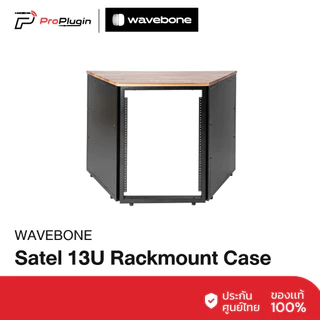WAVEBONE Satel 13U Rackmount Case