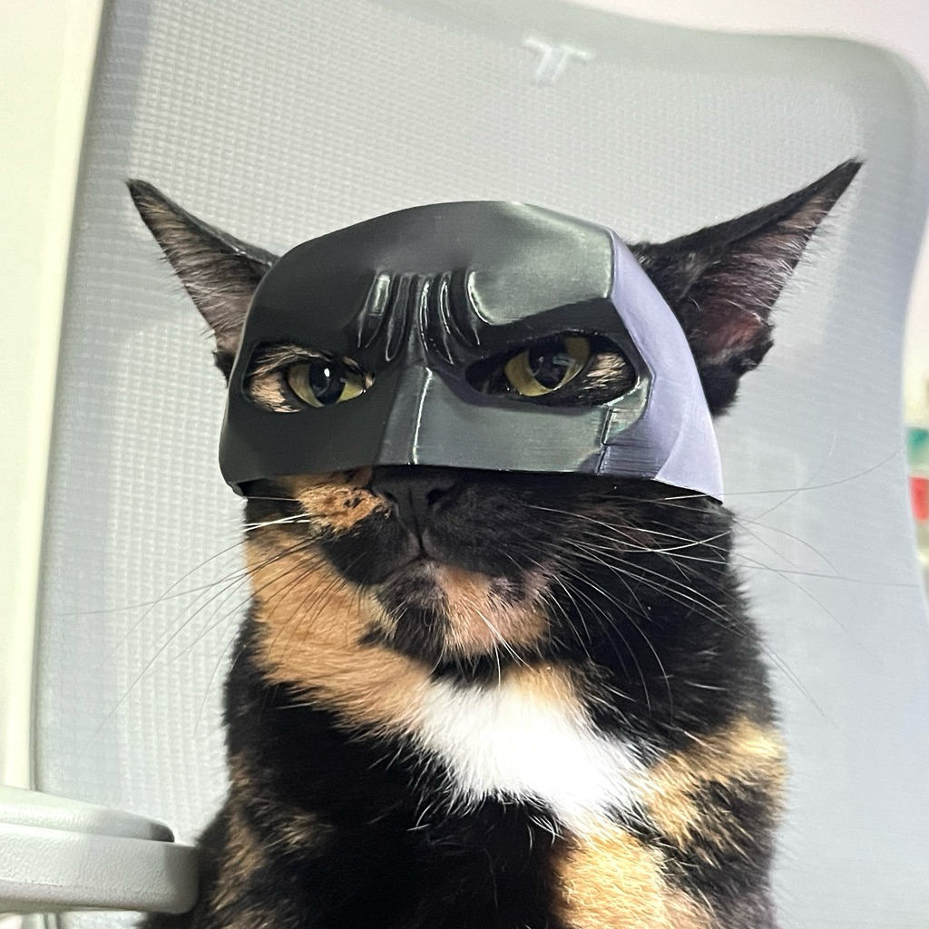 หน้ากากแมว แบทแมว | หมวกสัตว์เลี้ยง | Batcat Mask | Batman Mask | งาน ...
