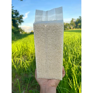 ข้าวหอมมะลิใหม่สุรินทร์ขนาด1กิโลกรัมปลูกเองจากเกษตรกรชาวจังหวัดสุรินทร์ photo