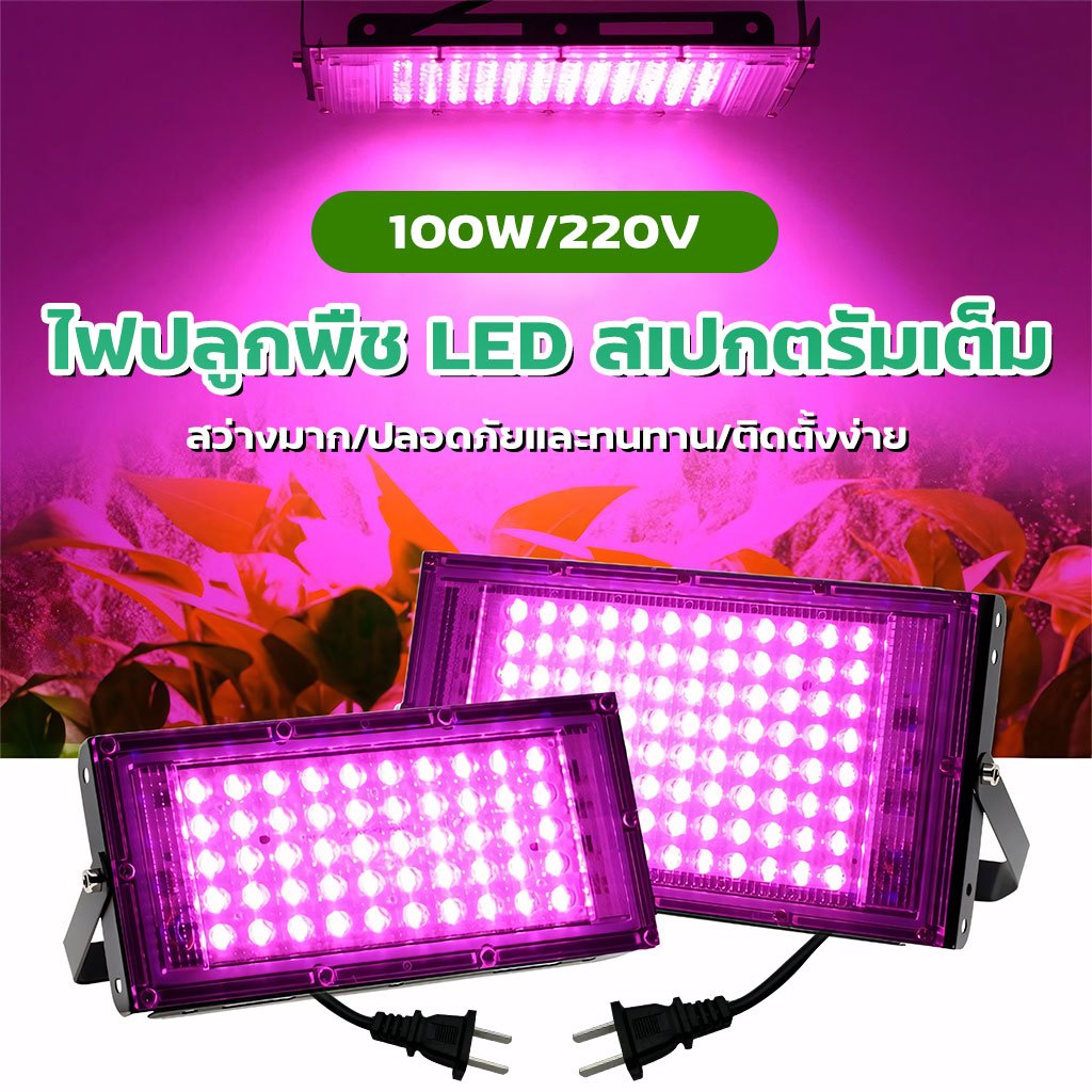 ไฟเลี้ยงต้นไม้ ไฟปลูกต้นไม้ 100W ไฟเลี้ยงแคคตัส ไฟเลี้ยงไม้ด่าง ...