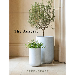 Chậu cây polymer mẫu Acacia dạng cao (rộng 35cm, 45cm, 55cm)
