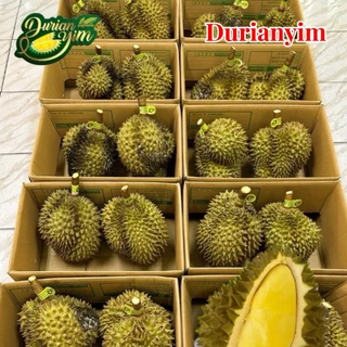 ทุเรียนภูเขาไฟ 2-3 ลูก น้ำหนักรวม 4-5โล  ศรีสะเกษแท้!! photo