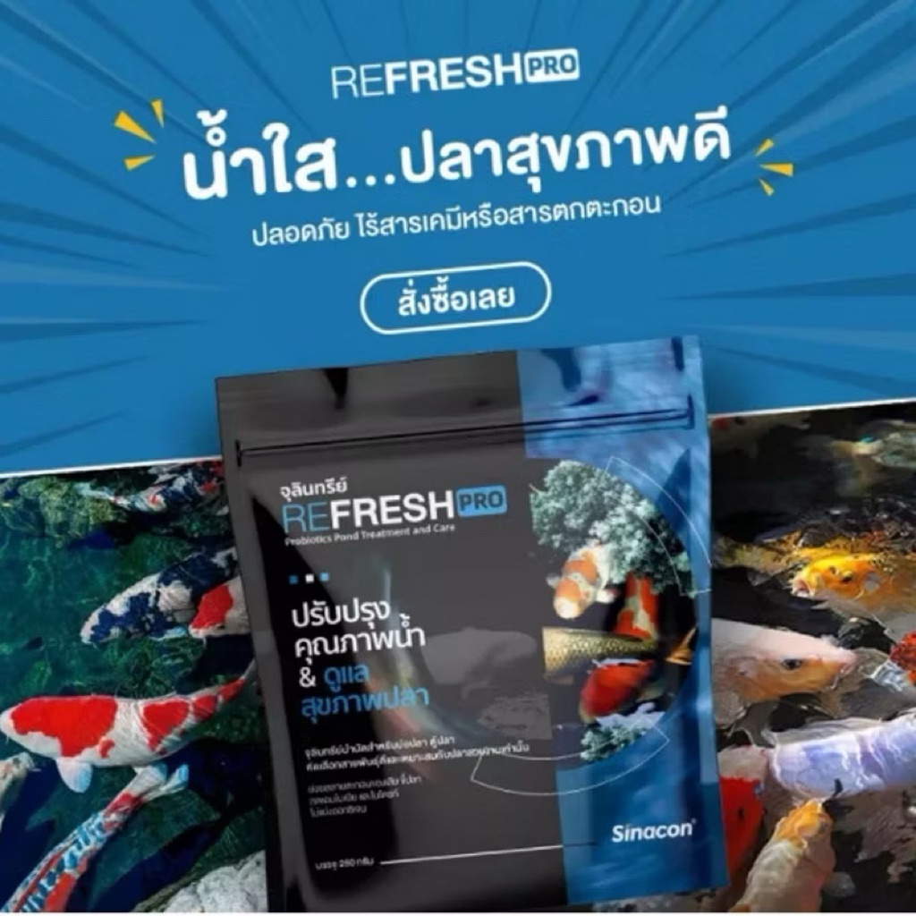 ผลิตภัณฑ์จุลินทรีย์ Refresh Pro 250 กรัม สำหรับบ่อและตู้ปลา | Shopee ...