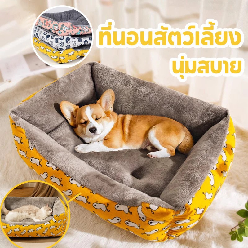 ที่นอนแมว ที่นอนสุนัข เบาะแมว เบาะหมา