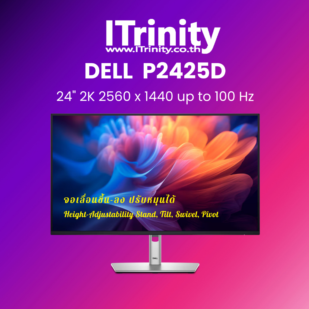 Dell P2425D Pro 24 Plus QHD Monitor เดลล์ จอมอนิเตอร์ 23.8 นิ้ว IPS 2K ...