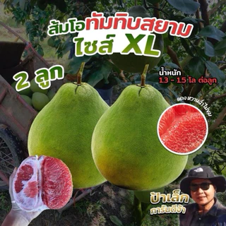 ส้มโอทับทิมสยามปากพนัง ไซส์ XL  2ลูก  น้ำหนัก 1.3- 1.5 กก./ต่อลูก จากสวนป้าเล็กขี้ลืม photo