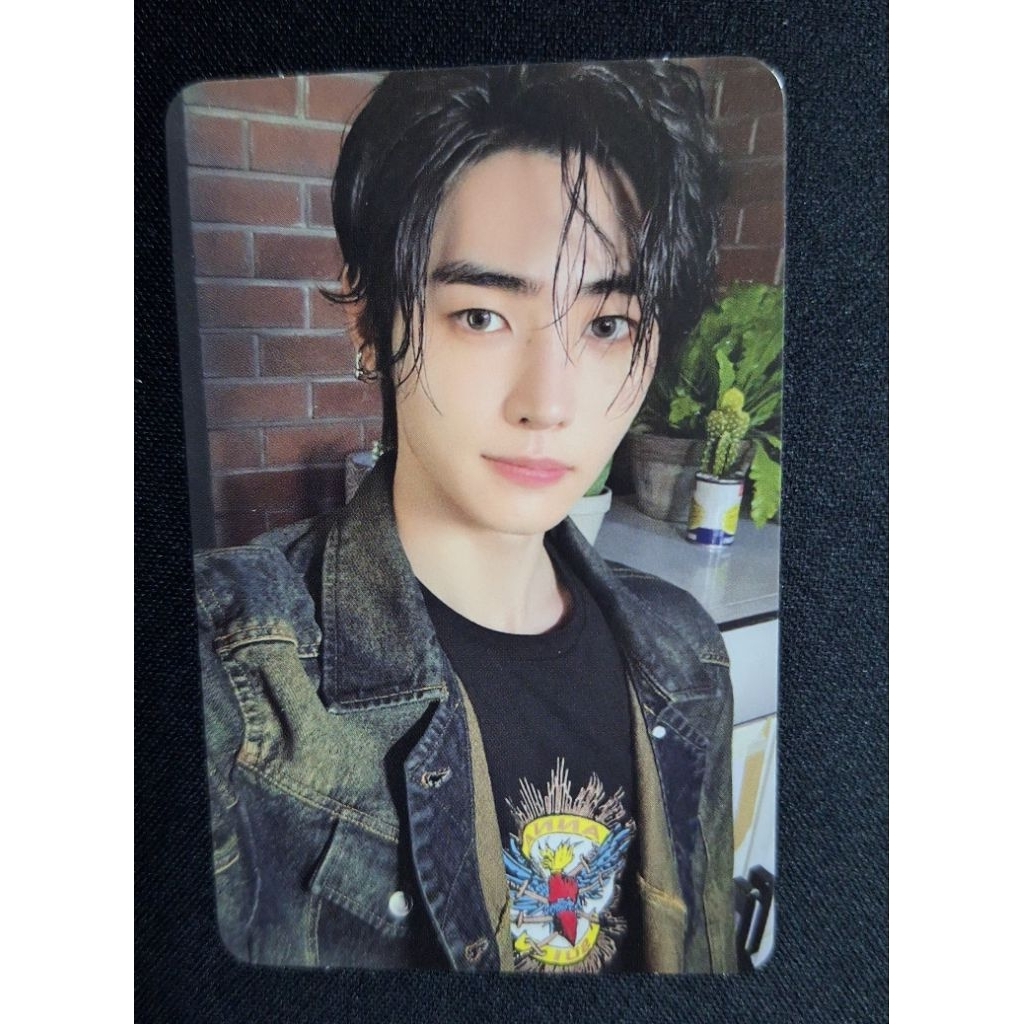 พร้อมส่ง] [Official] Enhypen Photocard Orange Blood Kpopmerch