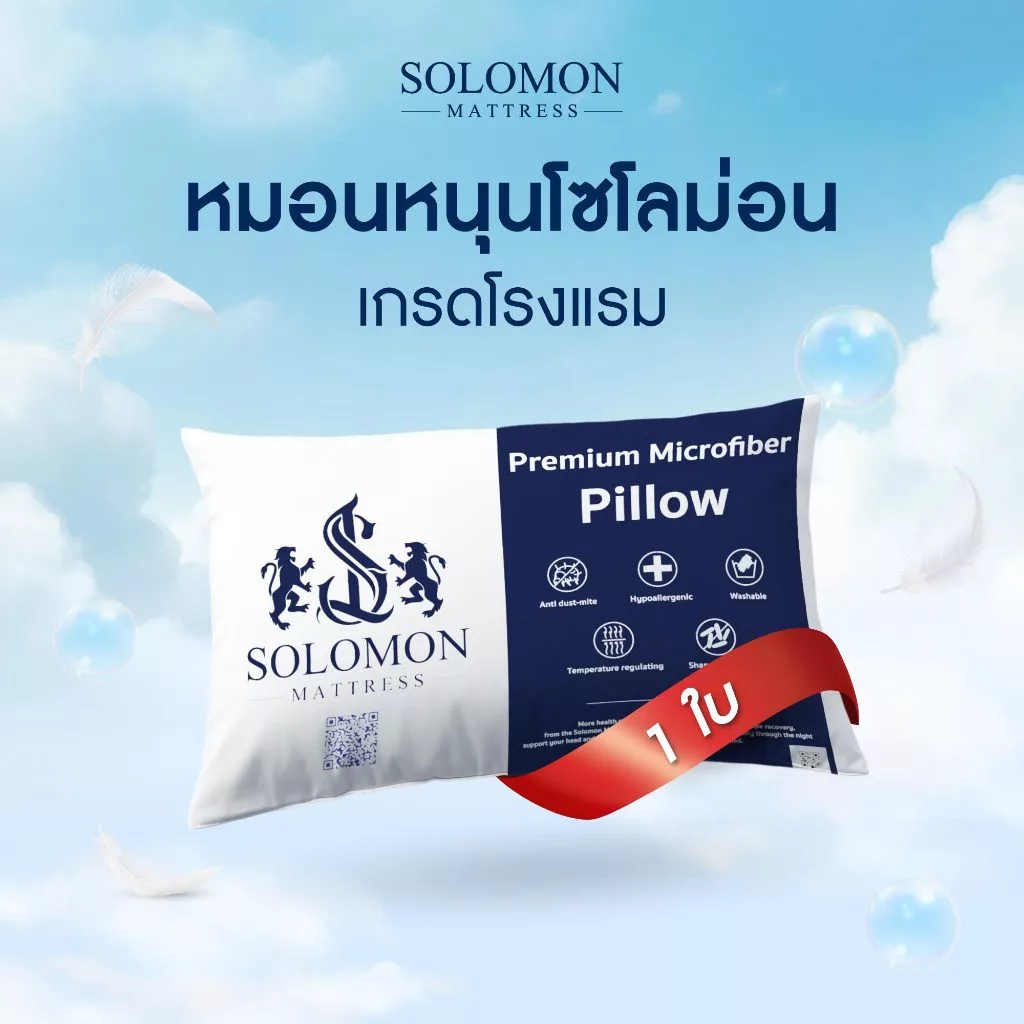 SOLOMON หมอนหนุนสุขภาพ ป้องกันไรฝุ่น นุ่มสบาย ระบายอากาศดี