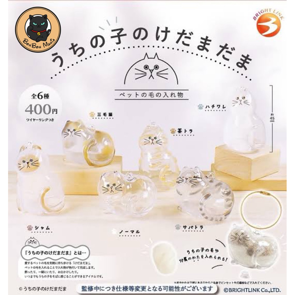 [แบบแยก-เลือกแบบได้]Gachapon My Child is Still Alive Pet Hair Container set