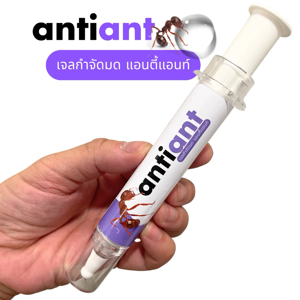 รีวิวเจลกำจัดมด ANTIANT ตายยกรังจริงไหม? ป้าจงคอนเฟิร์ม! 3