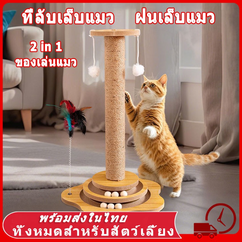 ที่ลับเล็บและของเล่นแมวหลายแบบจากร้าน Pet Suppliesa