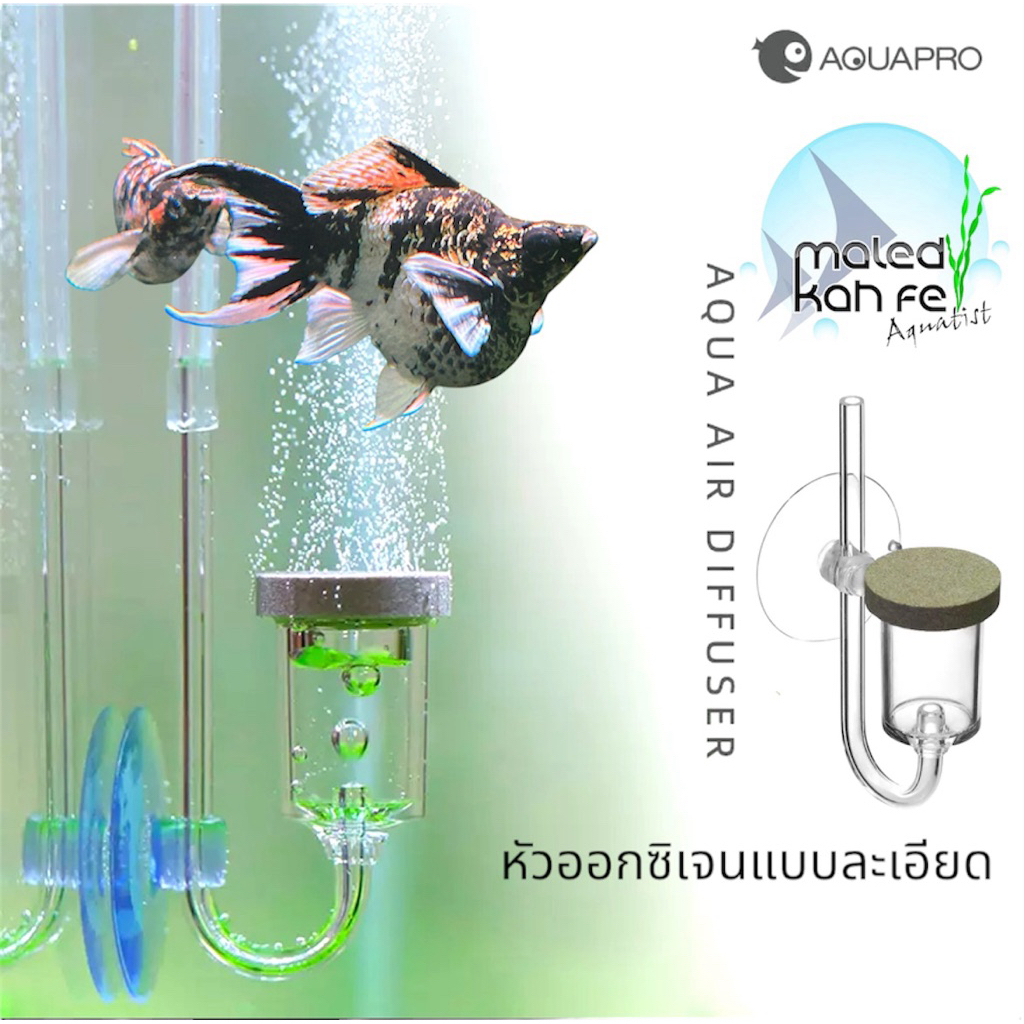 AQUA PRO AIR ( Oxygen O2 ) diffuser จ่าย หัว ทราย ออกซิเจน อะคริลิค ...