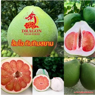 ส้มโอทับทิมสยามแท้จากปากพนัง ส่งทุกวัน เน่าเสียเครมได้ค่ะ photo