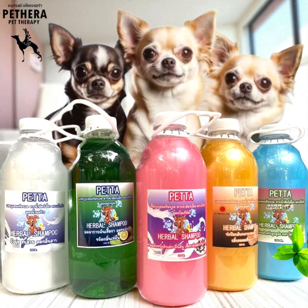 2-in-1 pet shampoo, large bottle