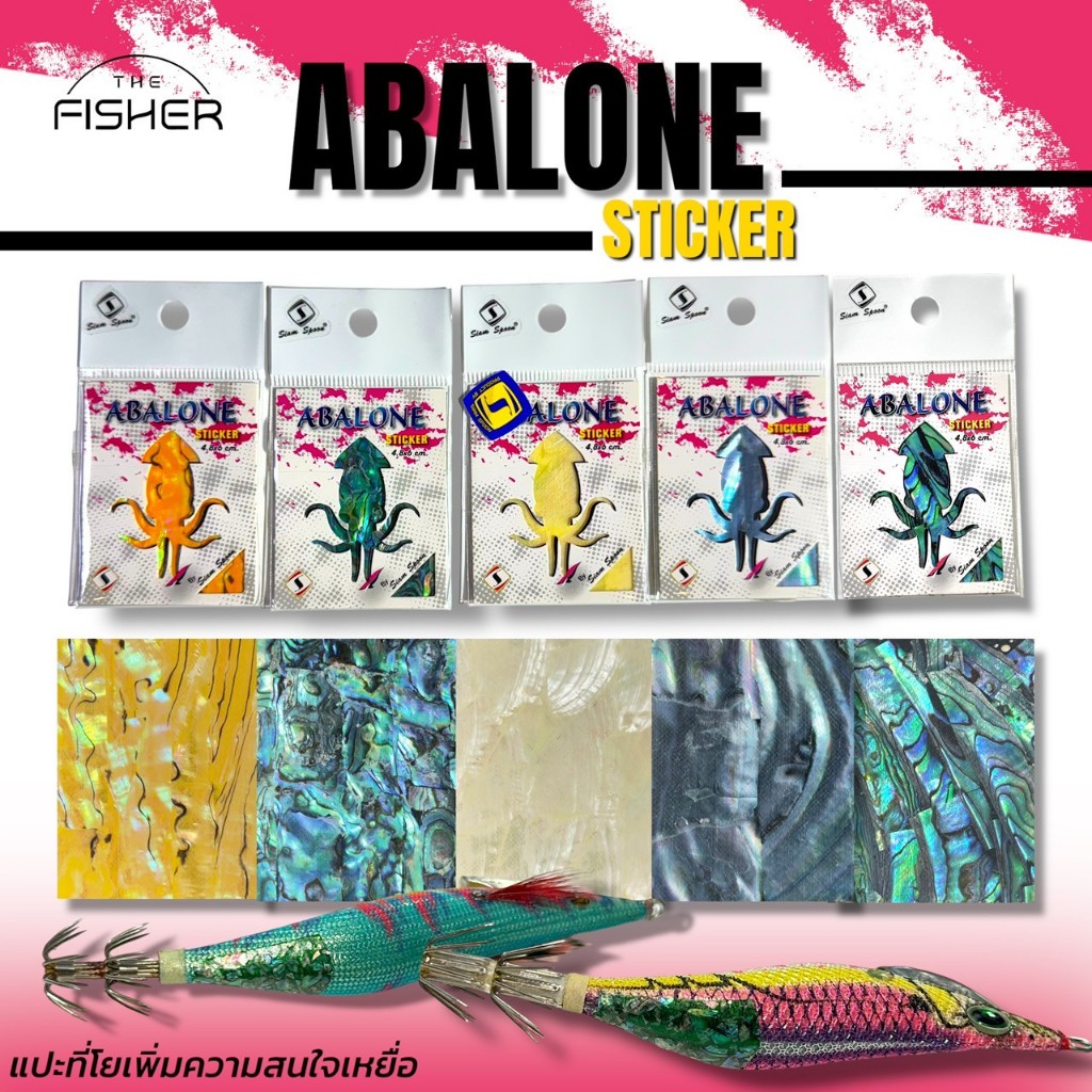 A09 ABALONE Sticker สติ๊กเกอร์ อาบาโลน เปลือกหอย แปะที่โยเพิ่มความสนใจ ...