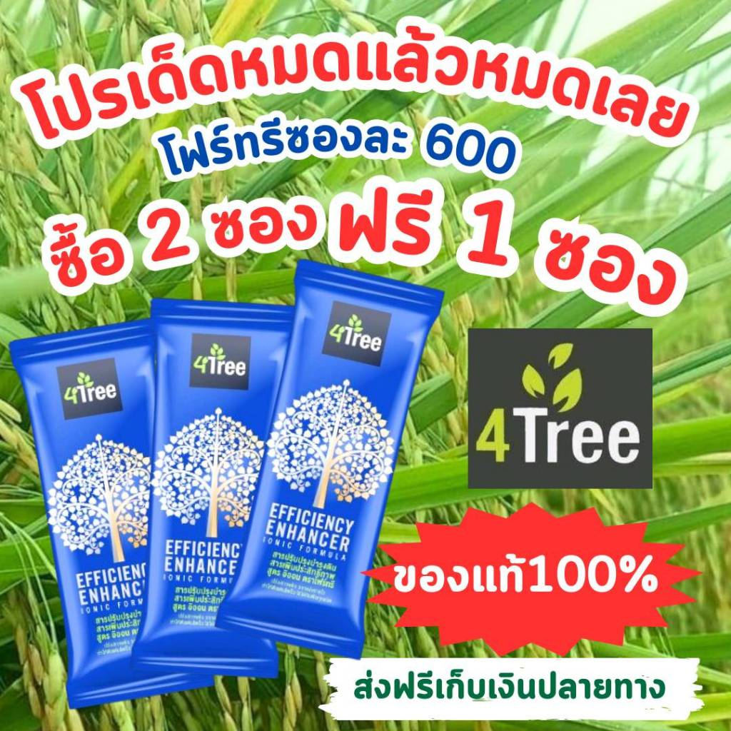 4Tree โฟร์ทรี สารเพิ่มประสิทธิภาพพืช ดูดซึมไว เขียวทน พืชเติบโตสุดสาย ...