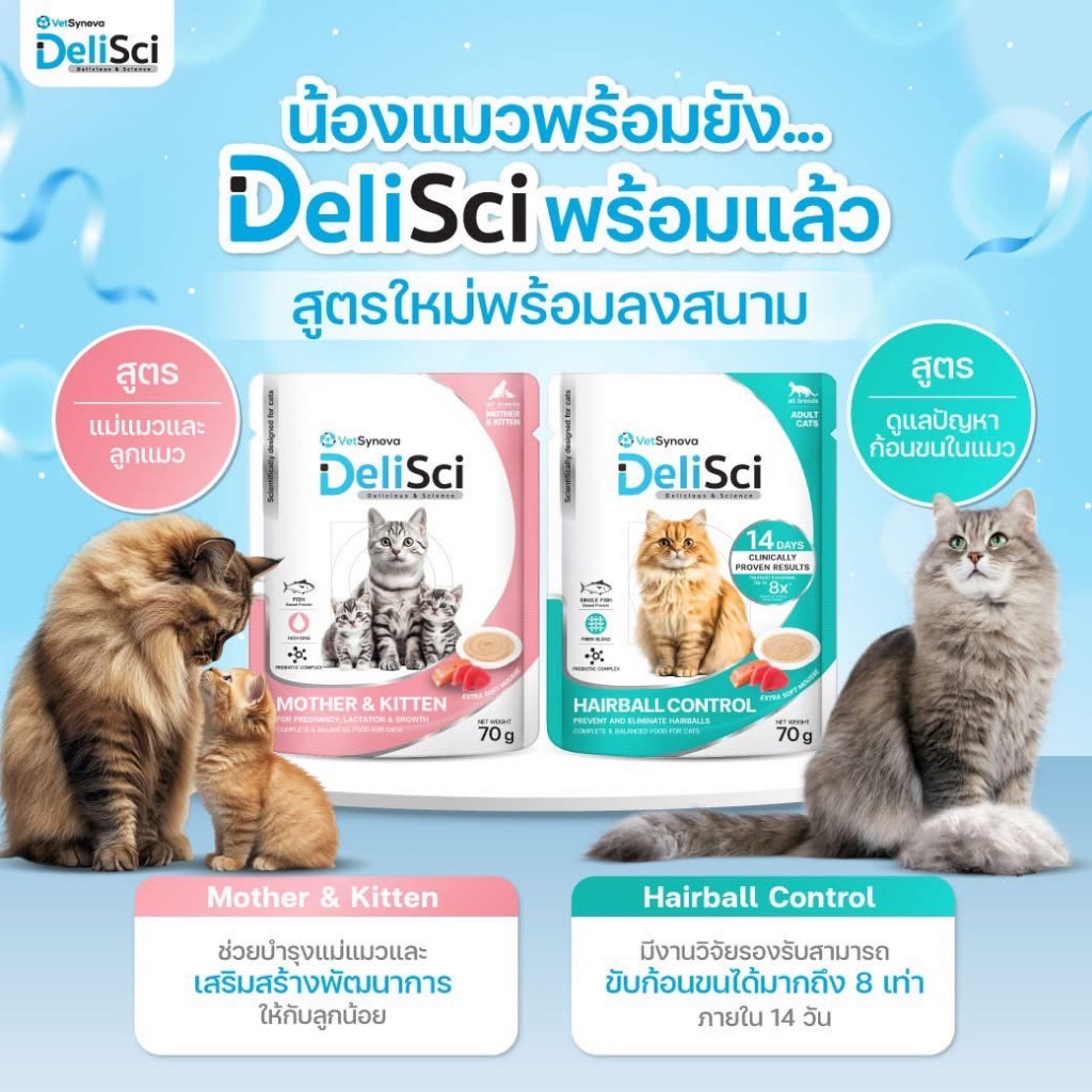 Delisci เดลิซาย อาหารเปียกสำหรับแมว Complete & balanced 70g x12ซอง ...