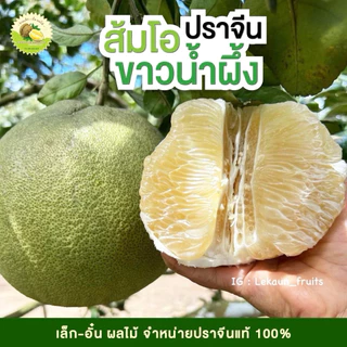 ส้มโอขาวน้ำผึ้งปราจีน คัดคุณภาพ💯🍐สดใหม่จากสวน 💥 ร้านเล็ก-อั๋น ผลไม้ปราจีนบุรี photo