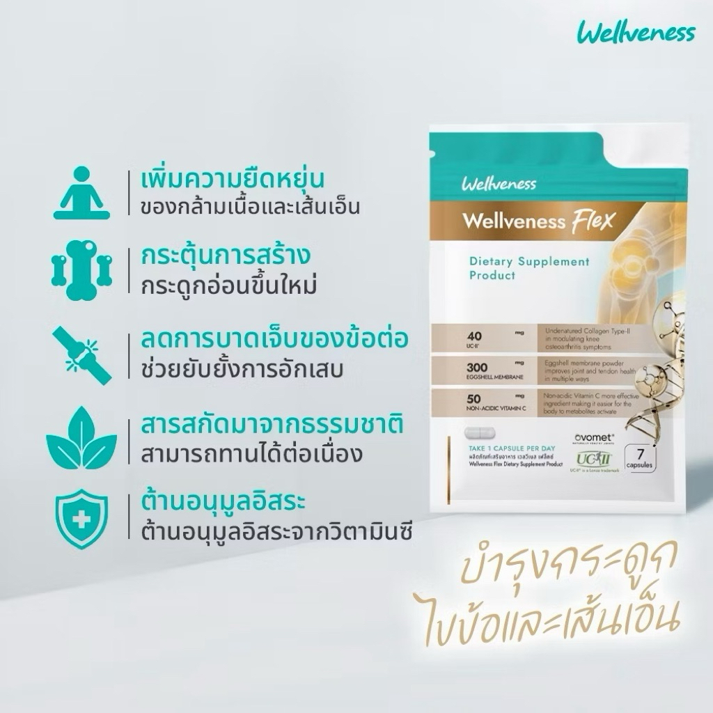 Well Flex บำรุงกระดูก ไขข้อ เส้นเอ็น | Shopee Thailand