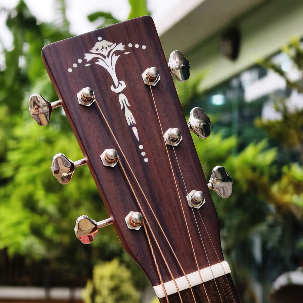 Cat's Eyes Guitar กีตาร์โปร่ง All Solid รุ่น CE-95T | Shopee Thailand