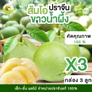 ส้มโอขาวน้ำผึ้งปราจีน📦[กล่อง3ลูก]🍐คัดคุณภาพ 💥 ร้านเล็ก-อั๋น ผลไม้ปราจีนบุรี photo