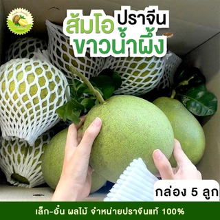 ส้มโอขาวน้ำผึ้งปราจีน📦[กล่อง5ลูก]🍐คัดคุณภาพ 💥 ร้านเล็ก-อั๋น ผลไม้ปราจีนบุรี photo