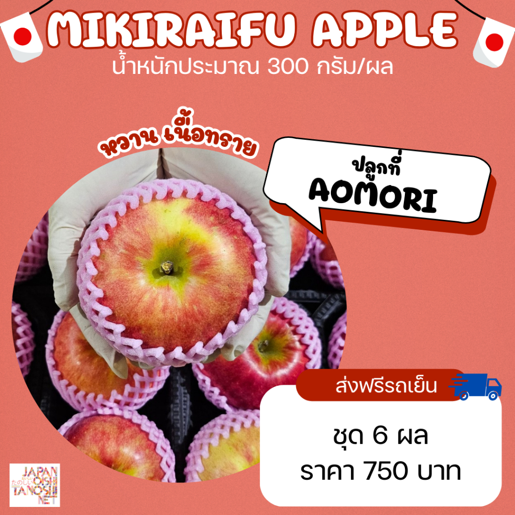 แอปเปิลมิกิไลฟ์ แอปเปิลญี่ปุ่น Mikiraifu apple ชุด 6 ผล | Shopee Thailand