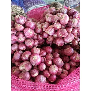 หอมแดงศรีสะเกษ.หัวสวยๆ.หัวแน่นๆ.หัวใหญ่จัมโบ้.แห้งดี.เก็บไว้ได้นาน โลละ60บาท photo