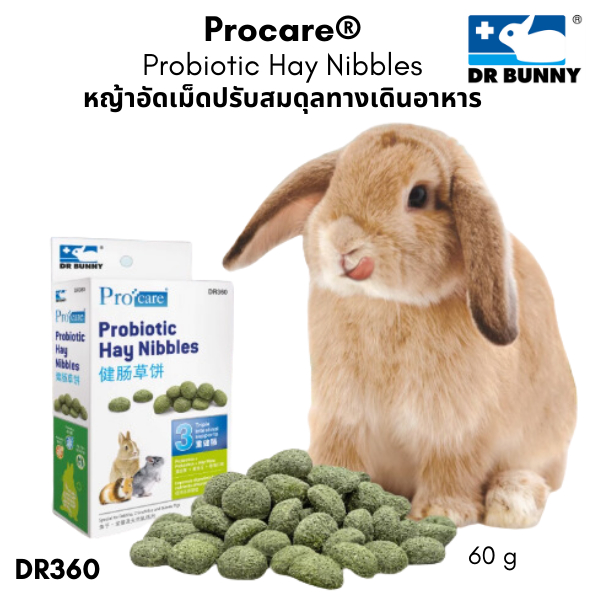 Dr.Bunny DR360 Procare Probiotic Hay Nibbles หญ้าอัดเม็ดปรับสมดุล ...