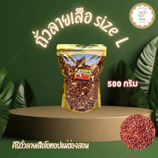 KeeRee ถั่วลายเสือ 500 กรัม (คัดเกรดพิเศษ) จากโรงคั่วถั่ว ท่าโป่งแดง จังหวัดแม่ฮ่องสอน photo