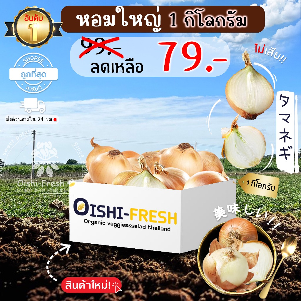 🛒Oishi-Fresh🧅หอมใหญ่ ปลอดสารพิษ 1 กก. รสชาติกรอบ สด ใหม่ ใยอาหารสูง ...