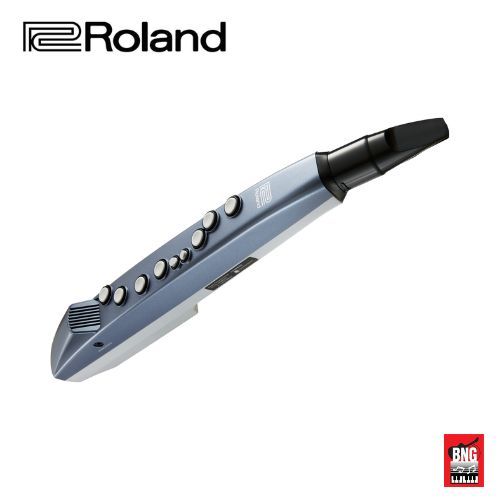 Roland AE-01 Aerophone mini เครื่องเป่าไฟฟ้า | Shopee Thailand
