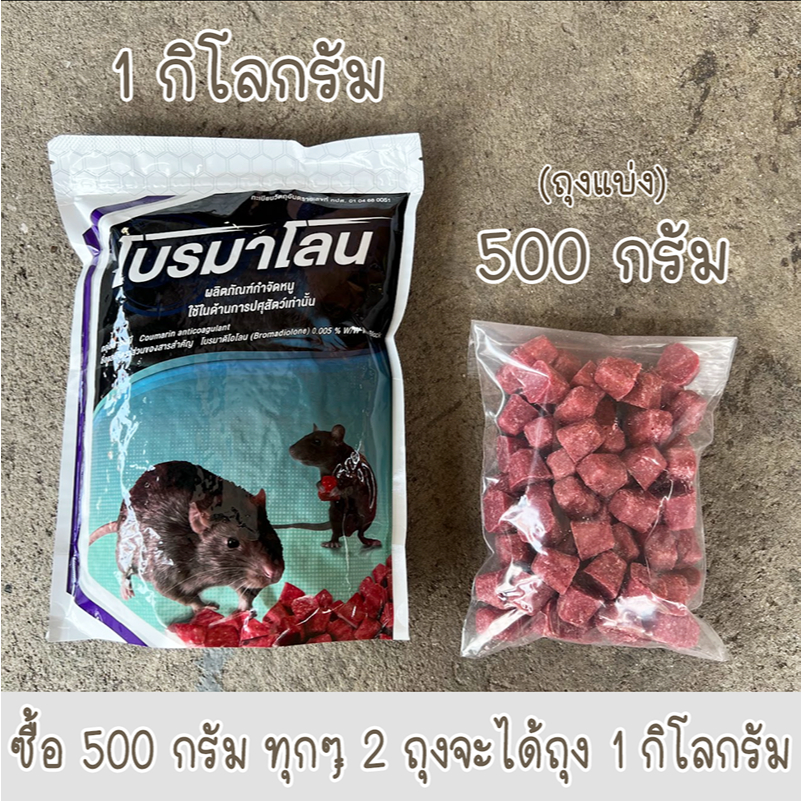 (พร้อมส่ง) เหยื่อกำจัดหนู 1 กิโล ซากแห้ง ยาเบื่อ หนู หนูชอบมาก โบรมาดิ ...