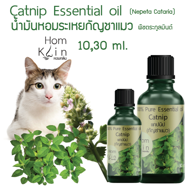 น้ำมันหอมระเหยแคทนิป แคทมินต์ แบรนด์ Homklin Catnip essential oils ...