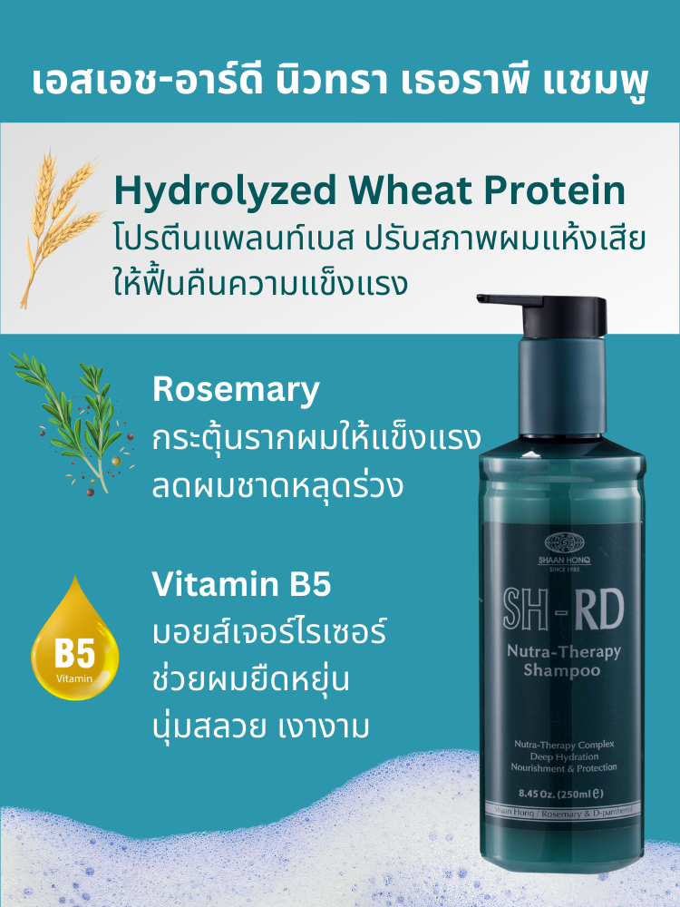 เอสเอช-อาร์ดี แชมพู นูทรา เธอราพี ขนาด 250 ml. SH-RD Nutra Therapy ...