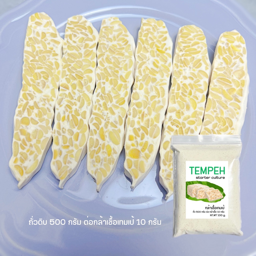 เชื้อเทมเป้ 100กรัม ฟรีถุงซิป คู่มือสอนทำ เทมเป้สด หัวเชื้อเทมเป tempeh ...