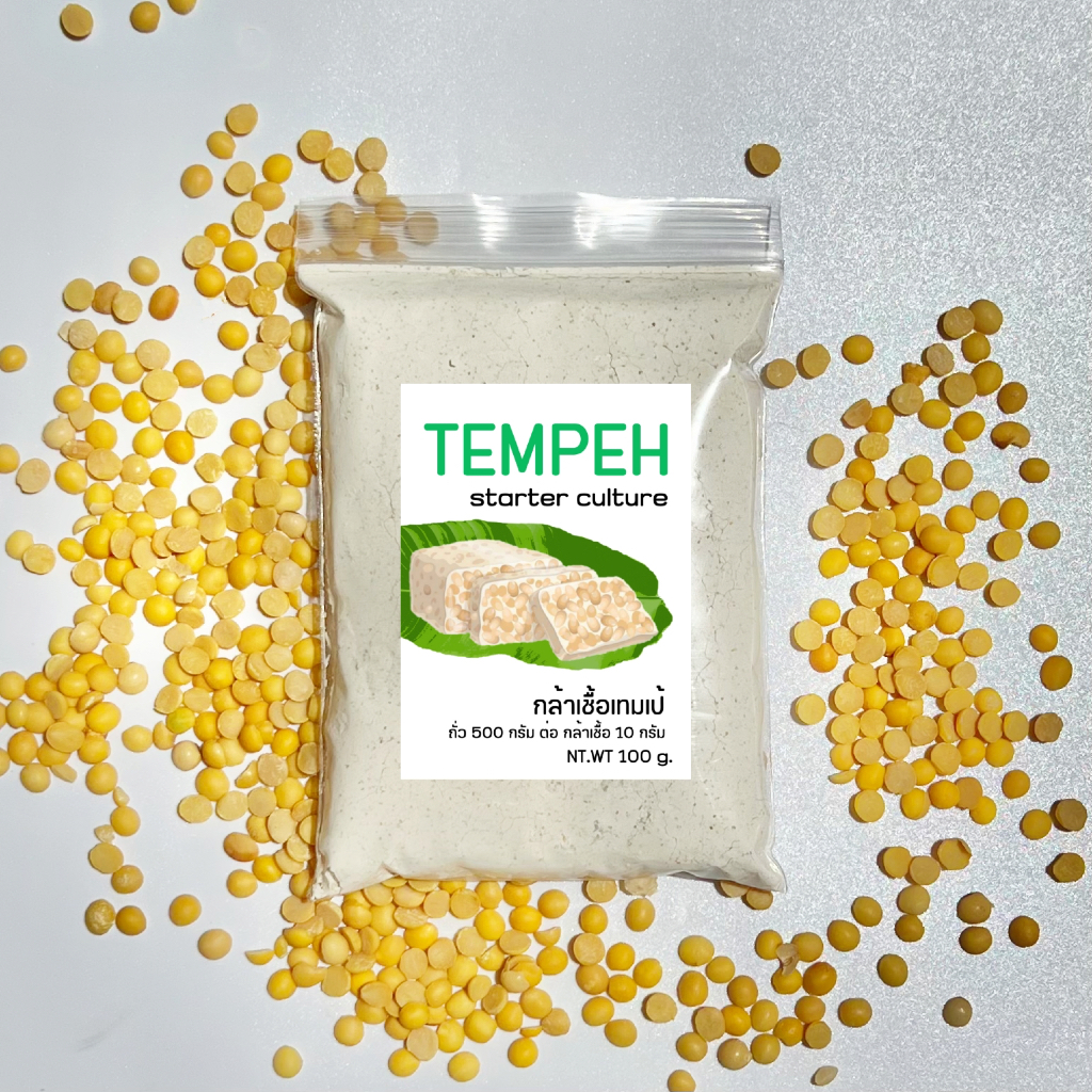 หัวเชื้อเทมเป้ 100 กรัม ฟรี ถุงเจาะ10ใบ คู่มือสอนทำ เทมเป้สด หัวเชื้อเท ...