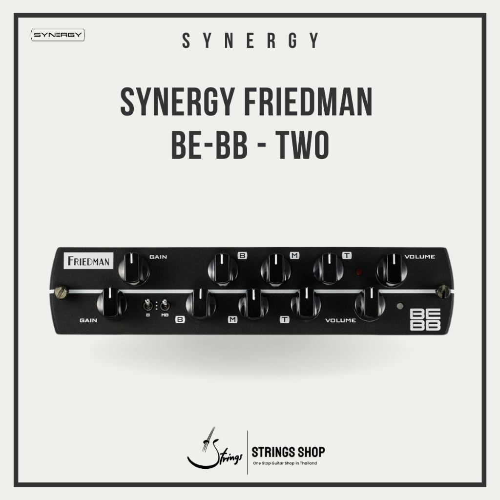 SYNERGY FRIEDMAN BE-BB - TWO | Shopee Thailand