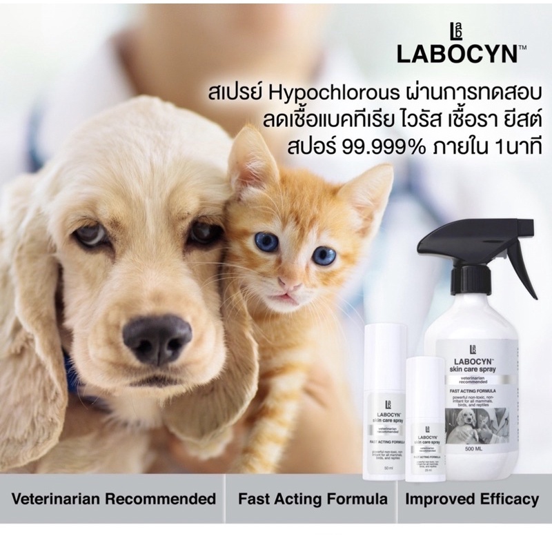 Labocyn Skin Care Spray 500ml สเปรย์ดูแลผิวหนังสำหรับสัตว์เลี้ยงขนาด ...