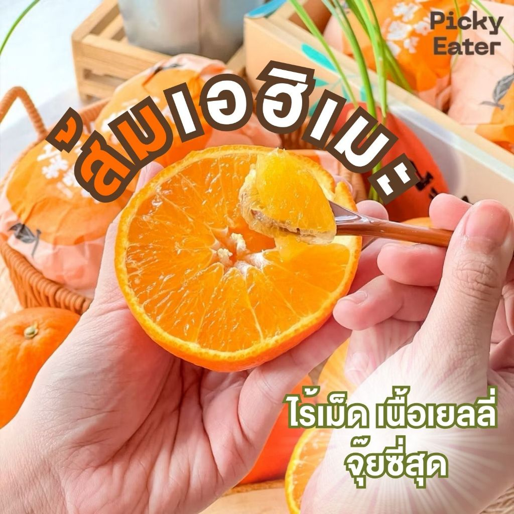 ส้มเอฮิเมะสด สายพันธุ์ญี่ปุ่น ยกลัง Ehime Orange ส้มเนื้อเยลลี่ ...