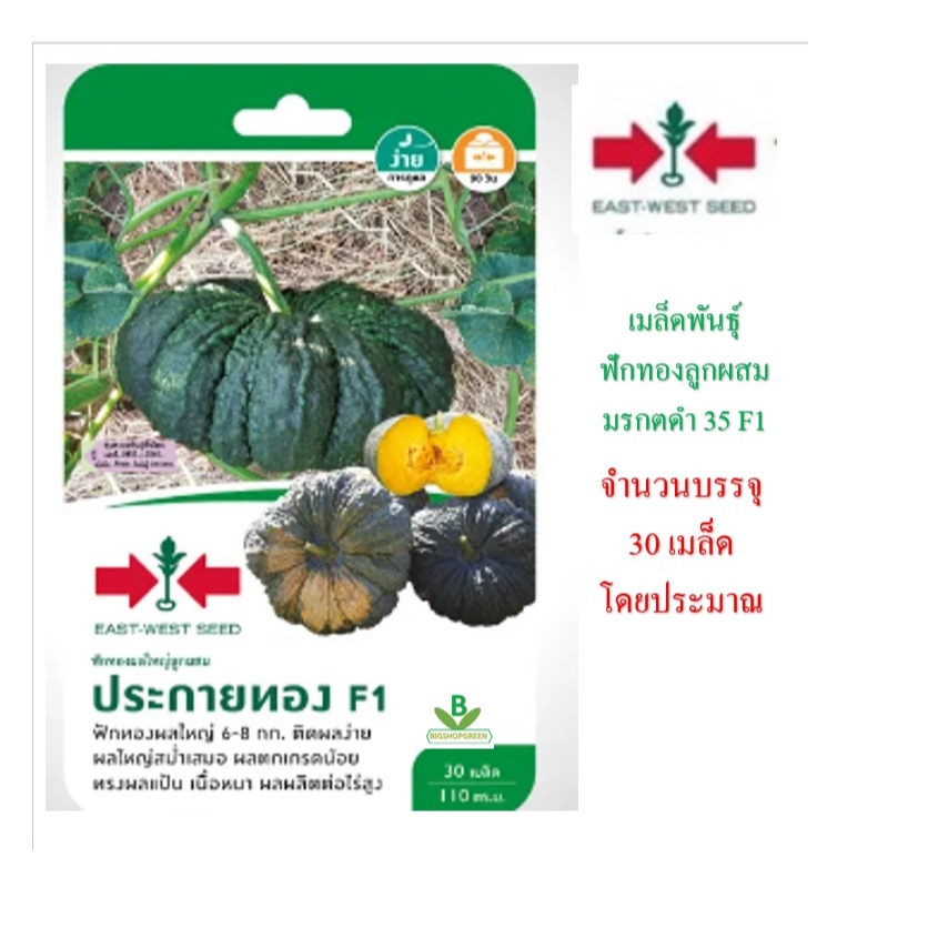 5 แถม 1 เมล็ดพันธฺุ์ ฟักทองผลใหญ่ลูกผสม ประกายทอง ศรแดง