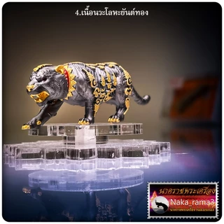 ราชันย์พยัคฆ์เขาแก้วทอง หลวงปู่บุญมา โชติธัมโม สำนักสงฆ์เขาแก้วทอง จ.ปราจีนบุรี photo