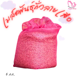 ถั่วลายเสือดิบแบบเมล็ด จังหวัดแม่ฮ่องสอน 5กก.-10กก. photo