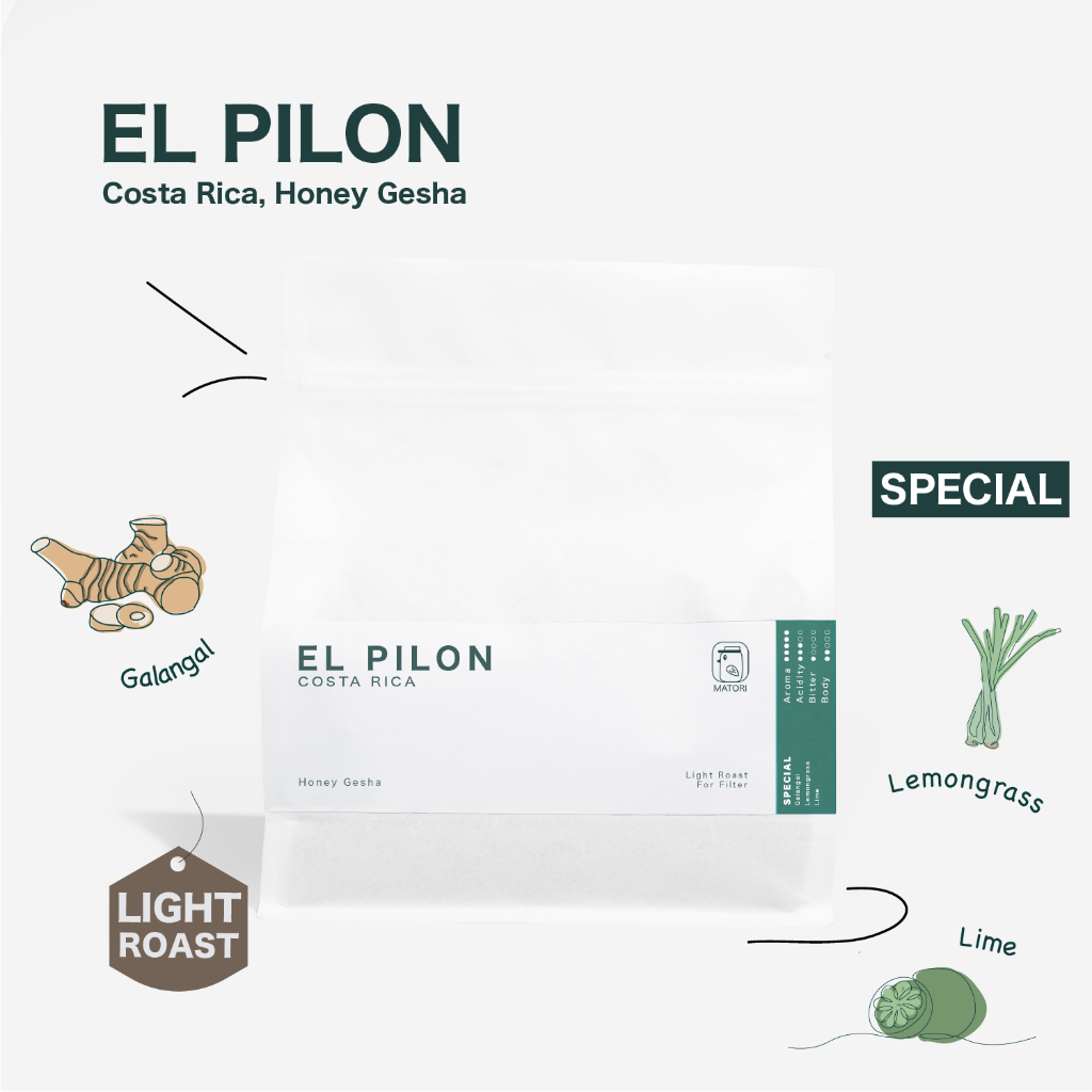 Matori Coffee Roaster เมล็ดกาแฟคั่วอ่อน Costa Rica, El Pilon Honey ...