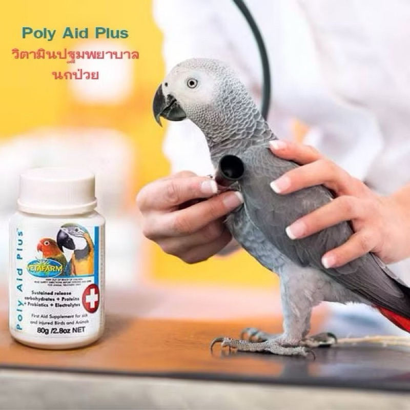 Vetafarm POLY AID PLUS วิตามินปฐมพยาบาลเบื้องต้น สำหรับนกแก้ว 40 g- 80 ...