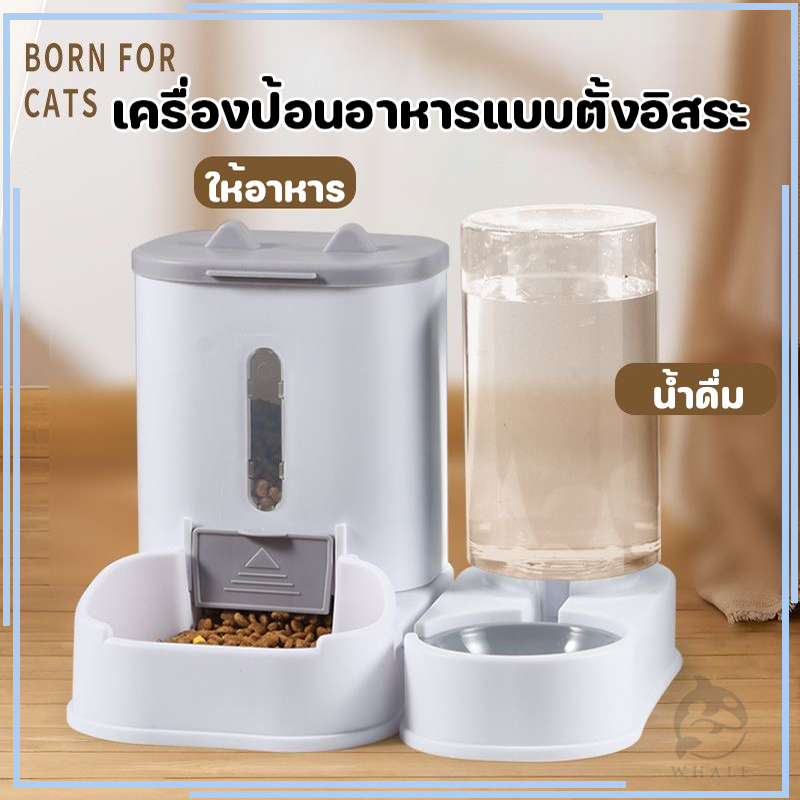 เครื่องให้น้ำ ที่ให้น้ำอัตโนมัติ