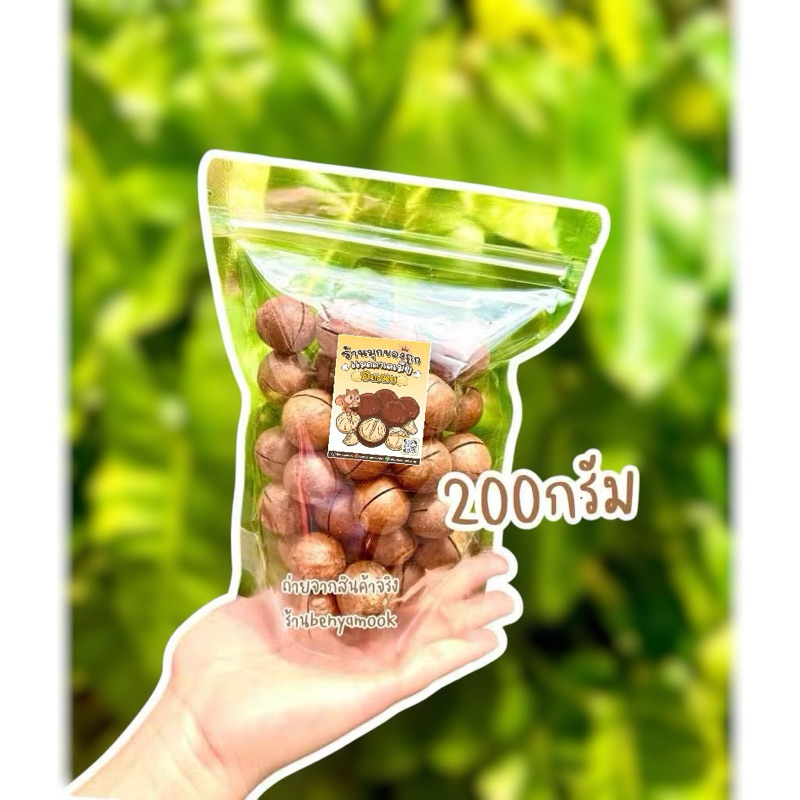 AAA macadamia Shopee Thailand