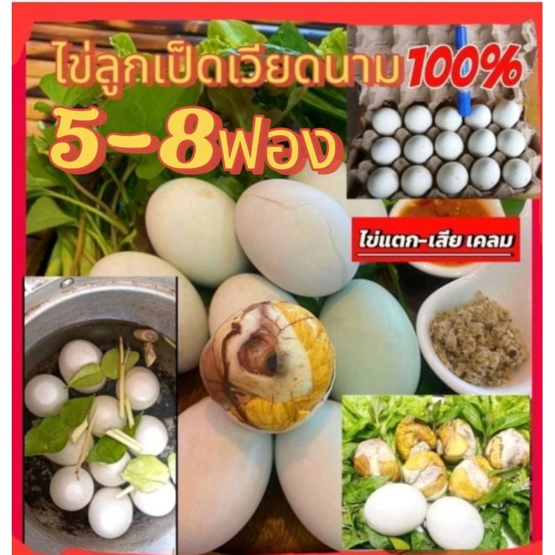 ไข่ลูกเป็ดเวียดนามแท้100%‼️ส่งด่วน‼️5/8ฟอง แบบดิบ เป็นระยะ 1-2 | Shopee ...