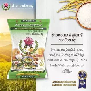 (ส่งฟรี) ข้าวหอมมะลิสุรินทร์ แท้ 100% ตราบัวชมพู ขนาด 5 กิโลกรัม (ข้าวอ่อน) photo